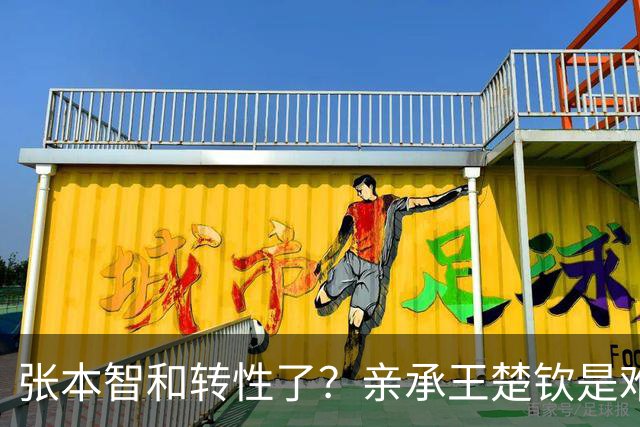 张本智和转性了？亲承王楚钦是难翻越大山，冲击亚洲之巅看齐世界第一